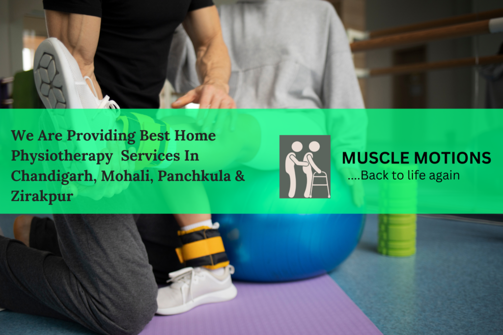 Sports Physiotherapy by Muscle Motions